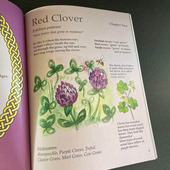 Welcome Weeds! A Beginner’s Guide to the Wild Garden Paperback Book - Picture 3 of 4